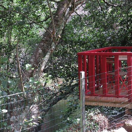 Casa Da Azenha Villa Baião Dış mekan fotoğraf